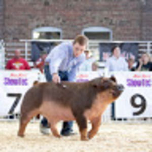 Meet your Posher, Trey